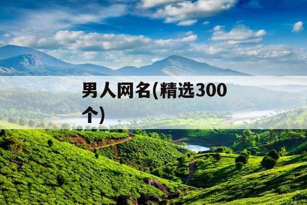 男人网名(精选300个)