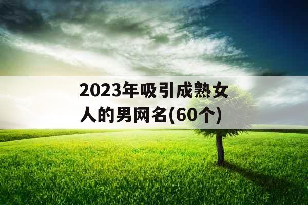 2023年吸引成熟女人的男网名(60个)