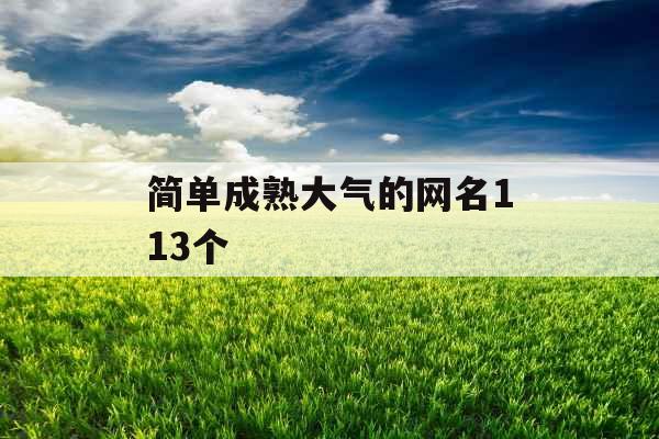 简单成熟大气的网名113个 简单成熟大气的网名113个