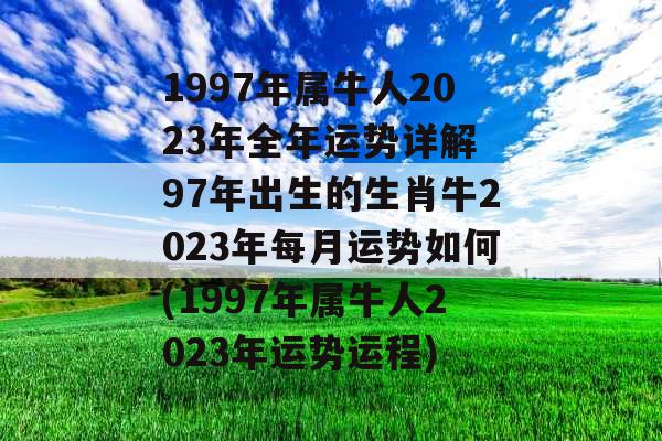 1997年属牛人2023年全年运势详解 97年出生的生肖牛2023年每月运势如何(1997年属牛人2023年运势运程)