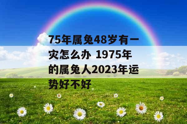 75年属兔48岁有一灾怎么办 1975年的属兔人2023年运势好不好