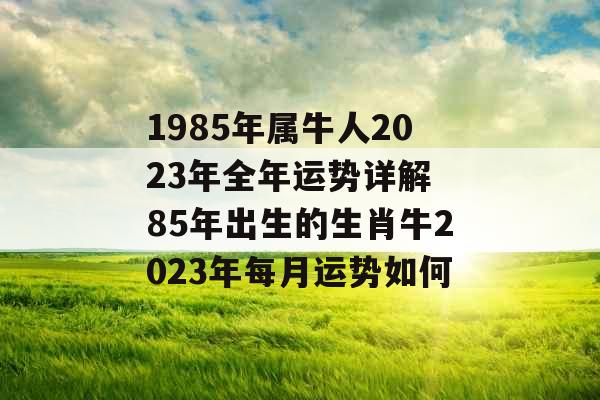 1985年属牛人2023年全年运势详解 85年出生的生肖牛2023年每月运势如何