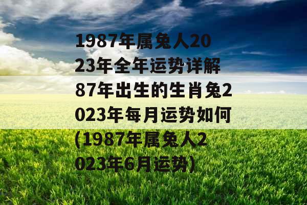 1987年属兔人2023年全年运势详解 87年出生的生肖兔2023年每月运势如何(1987年属兔人2023年6月运势)