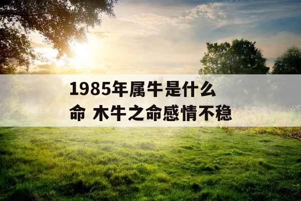 1985年属牛是什么命 木牛之命感情不稳 1985年属牛是什么命 木牛之命感情不稳