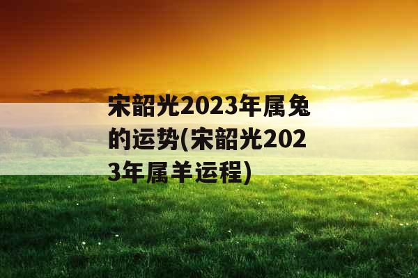 宋韶光2023年属兔的运势(宋韶光2023年属羊运程)