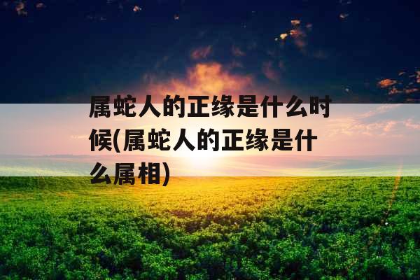 属蛇人的正缘是什么时候(属蛇人的正缘是什么属相) 属蛇人的正缘是什么时候(属蛇人的正缘是什么属相)