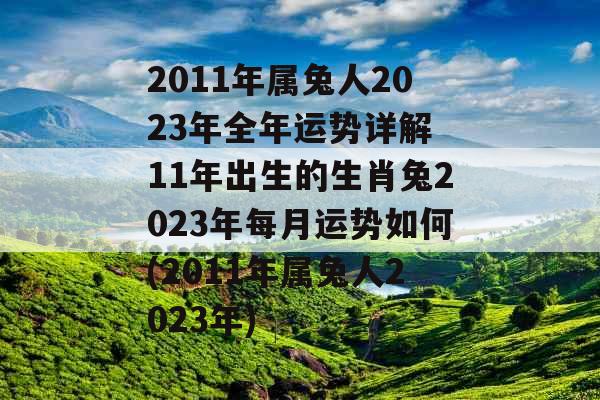 2011年属兔人2023年全年运势详解 11年出生的生肖兔2023年每月运势如何(2011年属兔人2023年)