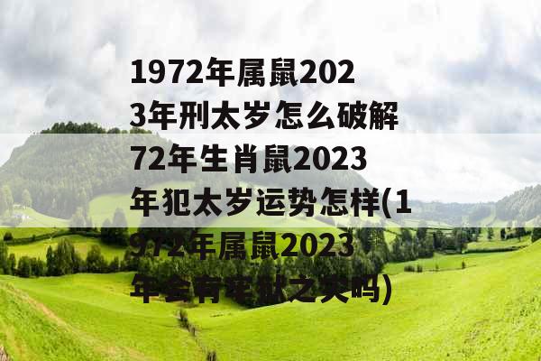 1972年属鼠2023年刑太岁怎么破解 72年生肖鼠2023年犯太岁运势怎样(1972年属鼠2023年会有牢狱之灾吗)