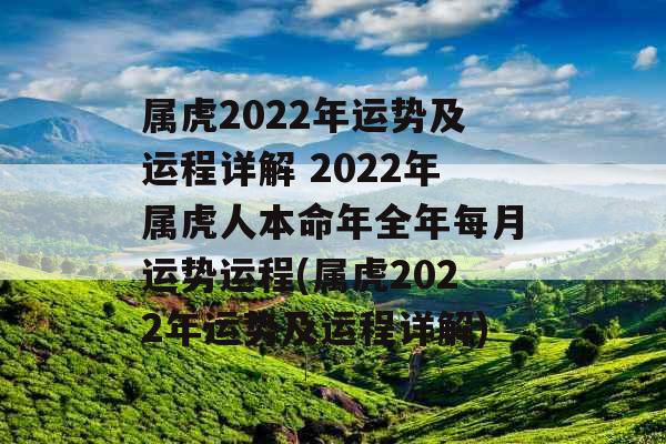 属虎2022年运势及运程详解 2022年属虎人本命年全年每月运势运程(属虎2022年运势及运程详解)