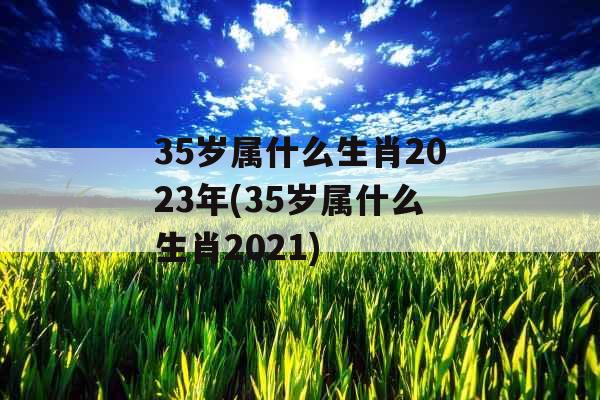 35岁属什么生肖2023年(35岁属什么生肖2021)