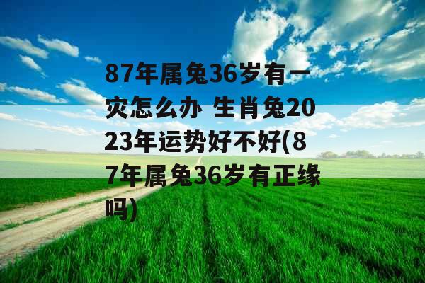 87年属兔36岁有一灾怎么办 生肖兔2023年运势好不好(87年属兔36岁有正缘吗)
