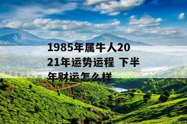 1985年属牛人2021年运势运程 下半年财运怎么样