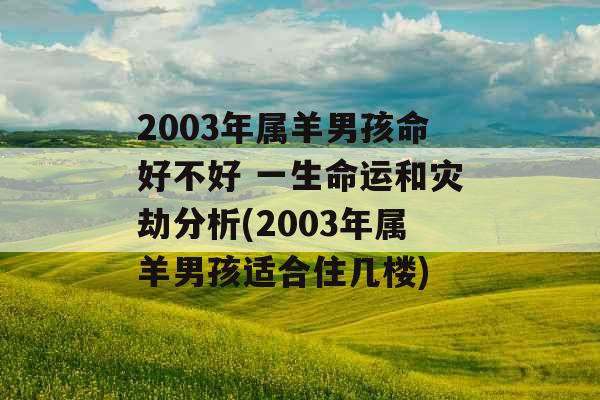 2003年属羊男孩命好不好 一生命运和灾劫分析(2003年属羊男孩适合住几楼)