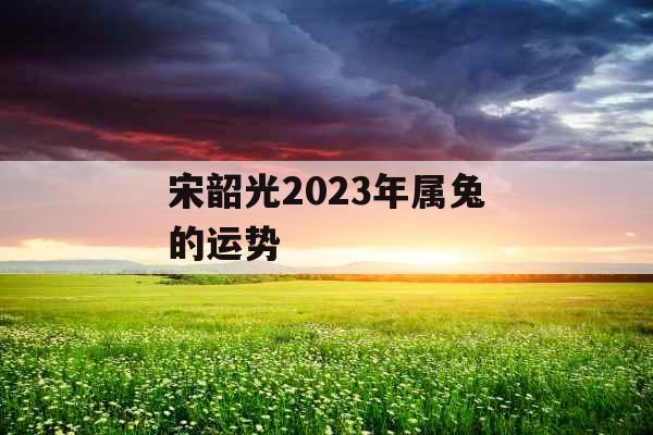 宋韶光2023年属兔的运势