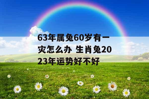 63年属兔60岁有一灾怎么办 生肖兔2023年运势好不好