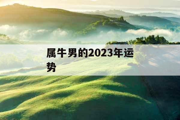 属牛男的2023年运势