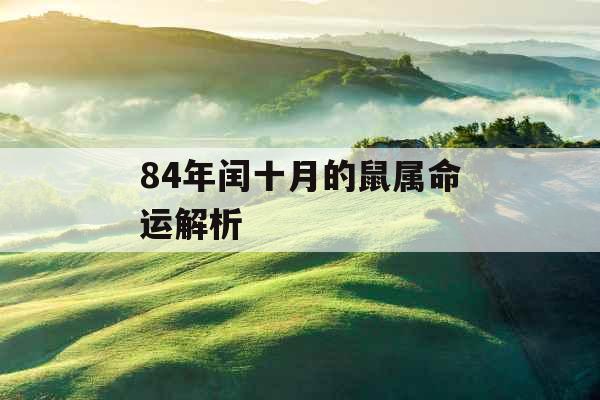 84年闰十月的鼠属命运解析