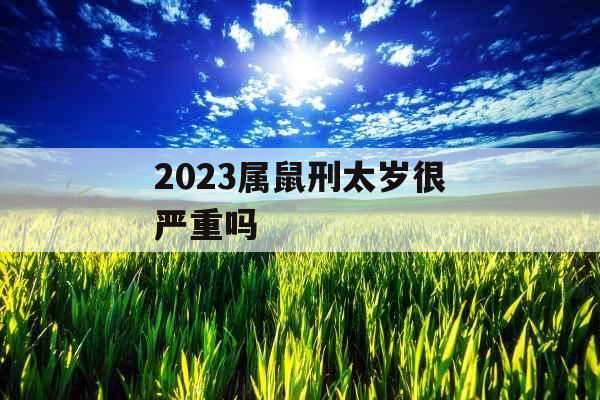 2023属鼠刑太岁很严重吗