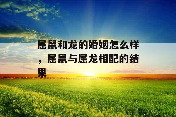 属鼠和龙的婚姻怎么样,属鼠与属龙相配的结果 属鼠和龙的婚姻怎么样,属鼠与属龙相配的结果