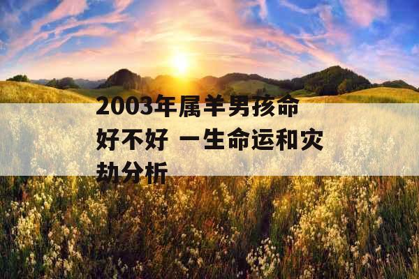2003年属羊男孩命好不好 一生命运和灾劫分析 2003年属羊男孩命好不好 一生命运和灾劫分析