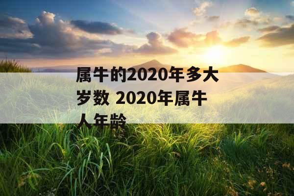 属牛的2020年多大岁数 2020年属牛人年龄