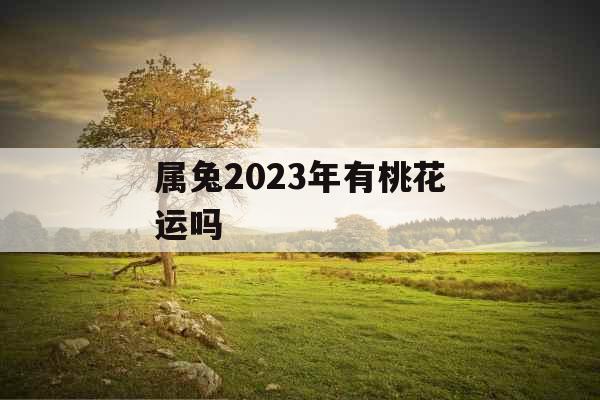 属兔2023年有桃花运吗