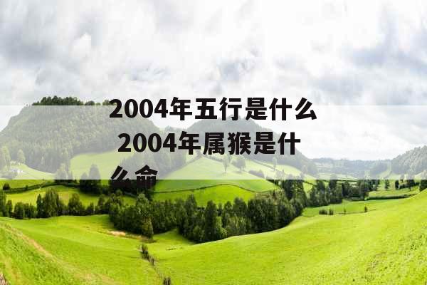 2004年五行是什么 2004年属猴是什么命