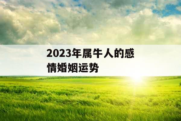 2023年属牛人的感情婚姻运势 2023年属牛人的感情婚姻运势