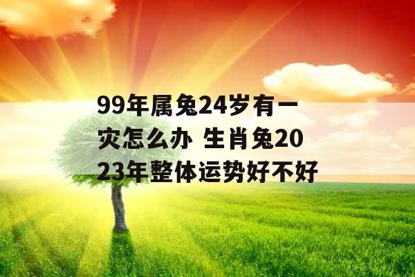 99年属兔24岁有一灾怎么办 生肖兔2023年整体运势好不好