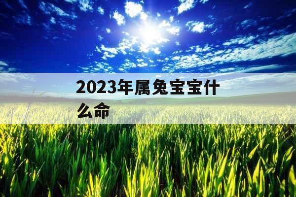 2023年属兔宝宝什么命