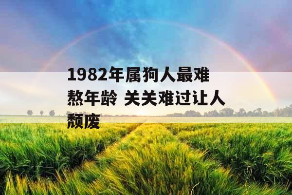 1982年属狗人最难熬年龄 关关难过让人颓废