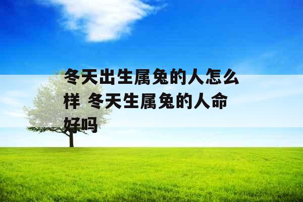 冬天出生属兔的人怎么样 冬天生属兔的人命好吗