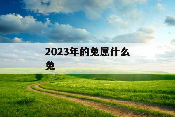 2023年的兔属什么兔