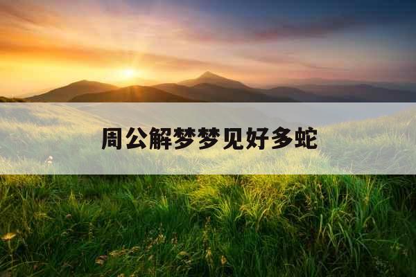 周公解梦梦见好多蛇 周公解梦梦见好多蛇
