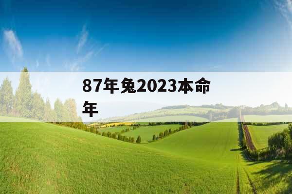 87年兔2023本命年