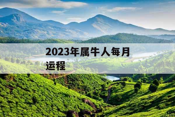 2023年属牛人每月运程