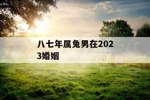 八七年属兔男在2023婚姻