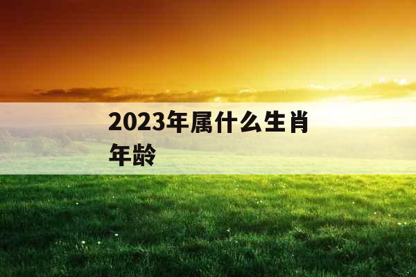 2023年属什么生肖年龄