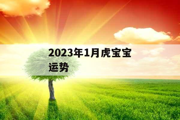 2023年1月虎宝宝运势