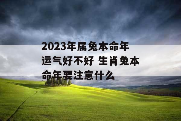 2023年属兔本命年运气好不好 生肖兔本命年要注意什么