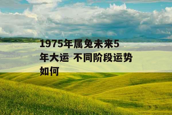 1975年属兔未来5年大运 不同阶段运势如何