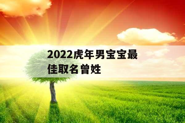 2022虎年男宝宝最佳取名曾姓