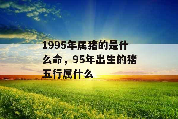 1995年属猪的是什么命，95年出生的猪五行属什么