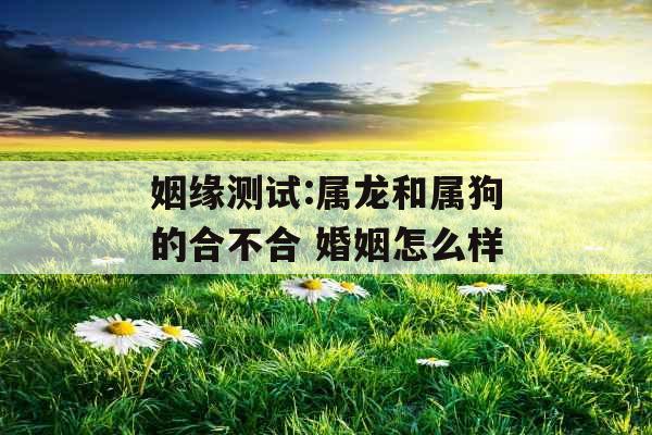 姻缘测试:属龙和属狗的合不合 婚姻怎么样