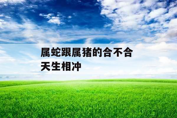 属蛇跟属猪的合不合 天生相冲
