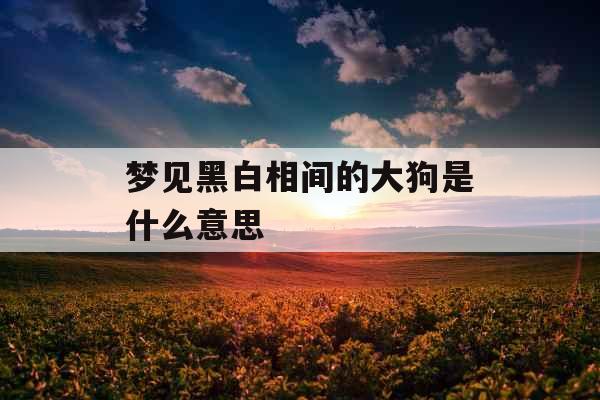 梦见黑白相间的大狗是什么意思