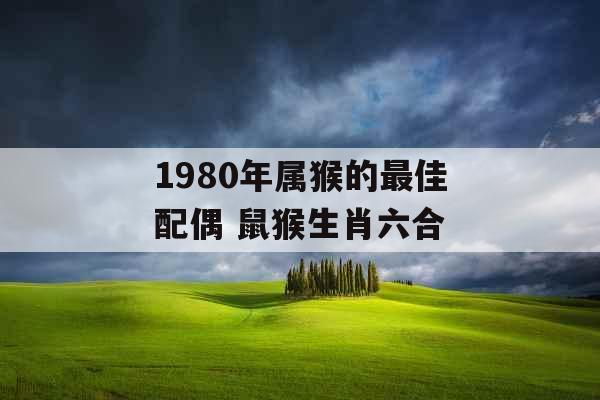 1980年属猴的最佳配偶 鼠猴生肖六合