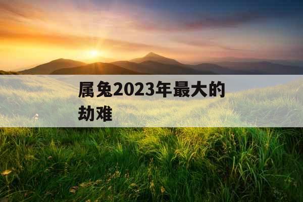 属兔2023年最大的劫难