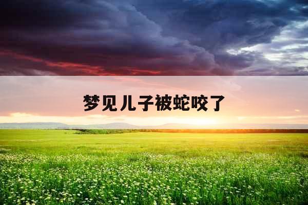 梦见儿子被蛇咬了