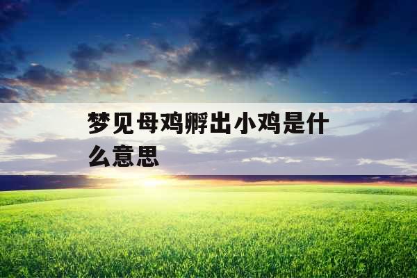 梦见母鸡孵出小鸡是什么意思